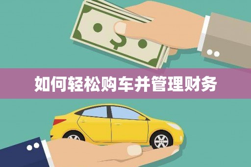 新埤如何轻松购车并管理财务