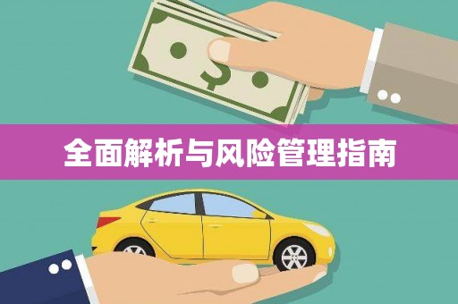 新埤全面解析与风险管理指南