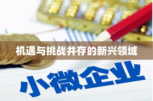 新埤机遇与挑战并存的新兴领域