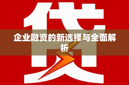 新埤企业融资的新选择与全面解析
