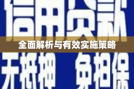 新埤全面解析与有效实施策略