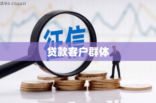新埤贷款客户群体