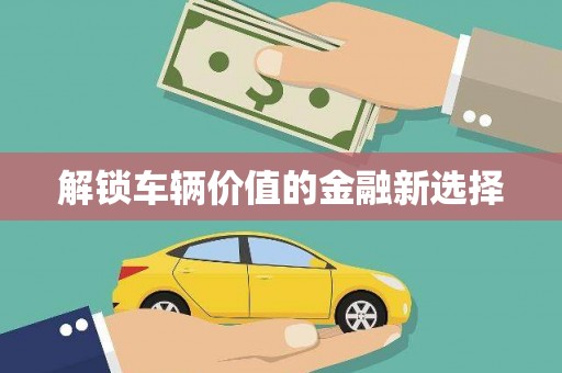 新埤解锁车辆价值的金融新选择