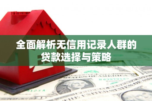 新埤全面解析无信用记录人群的贷款选择与策略