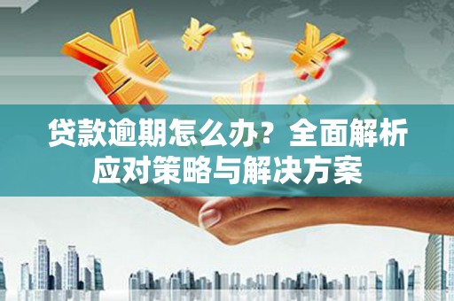 新埤贷款逾期怎么办？全面解析应对策略与解决方案