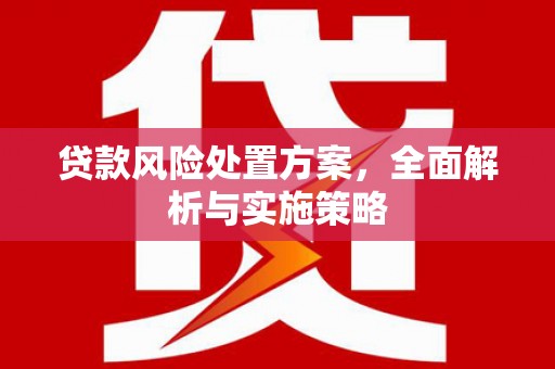 新埤贷款风险处置方案，全面解析与实施策略