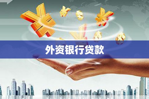 新埤外资银行贷款