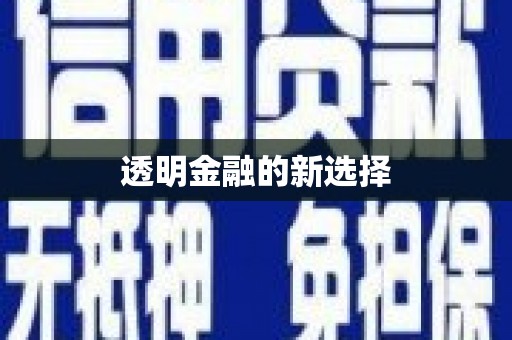 新埤透明金融的新选择