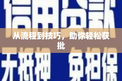 新埤从流程到技巧，助你轻松获批