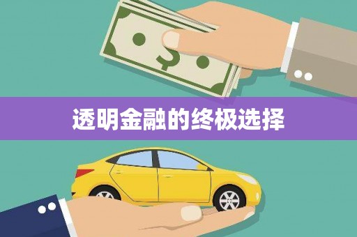 新埤透明金融的终极选择