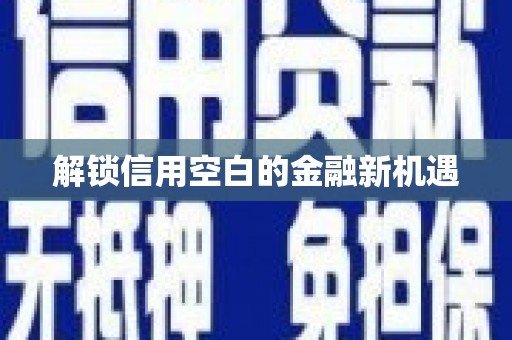 新埤解锁信用空白的金融新机遇