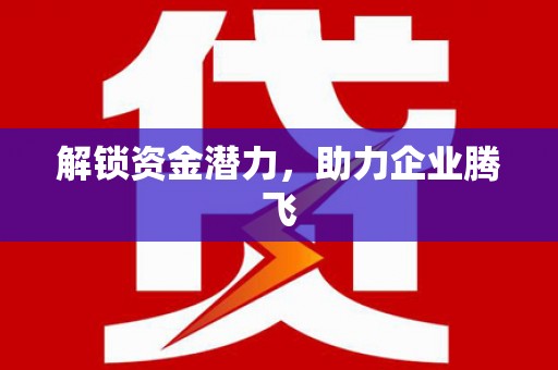 新埤解锁资金潜力，助力企业腾飞