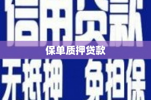 新埤保单质押贷款