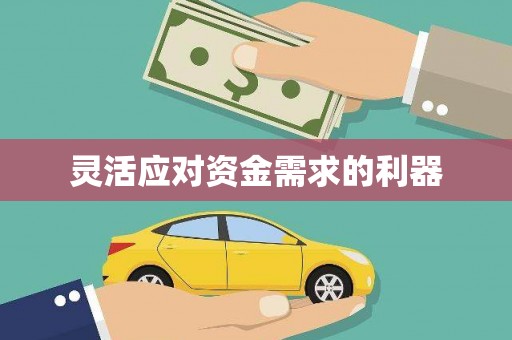 新埤灵活应对资金需求的利器
