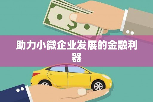 新埤助力小微企业发展的金融利器
