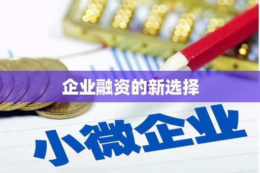 新埤企业融资的新选择