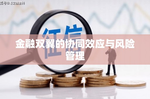 新埤金融双翼的协同效应与风险管理