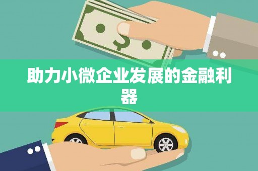 新埤助力小微企业发展的金融利器