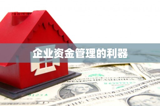 新埤企业资金管理的利器