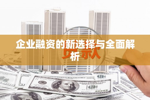 新埤企业融资的新选择与全面解析