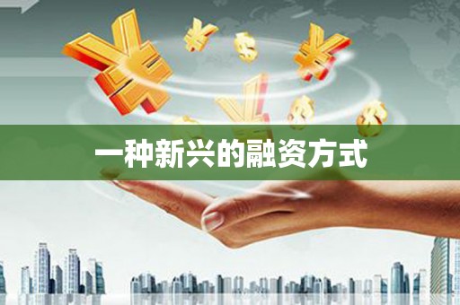 新埤一种新兴的融资方式