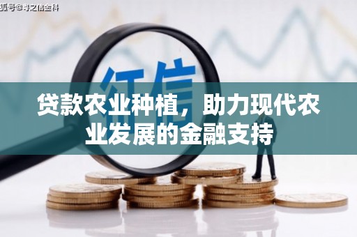 新埤贷款农业种植，助力现代农业发展的金融支持