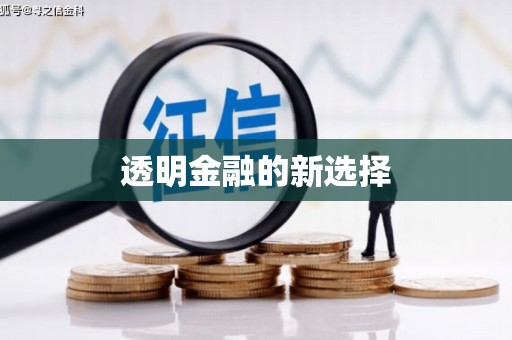 新埤透明金融的新选择