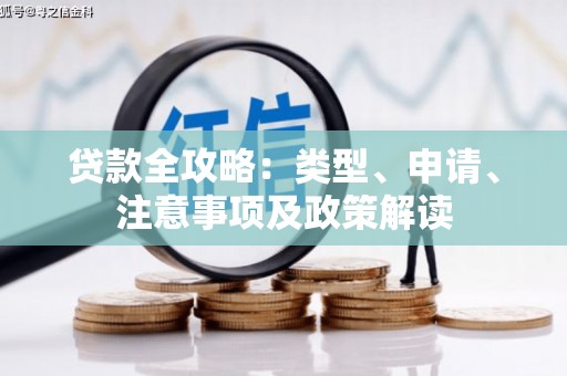新埤贷款全攻略：类型、申请、注意事项及政策解读