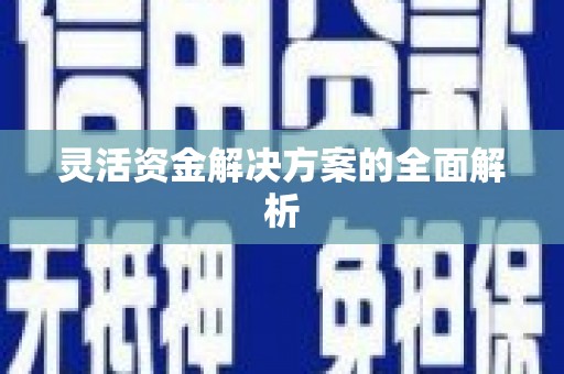 新埤灵活资金解决方案的全面解析