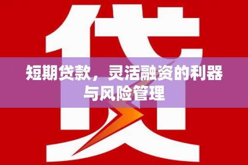 新埤短期贷款，灵活融资的利器与风险管理