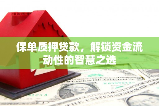 新埤保单质押贷款，解锁资金流动性的智慧之选