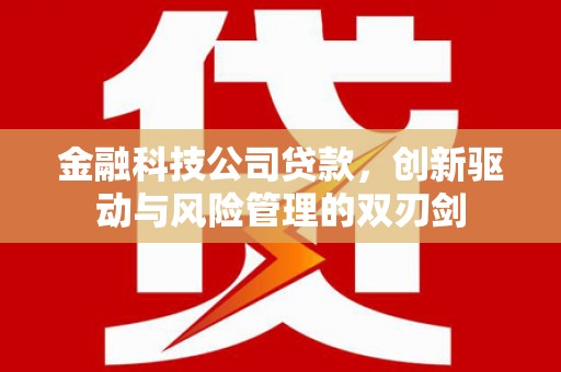 新埤金融科技公司贷款，创新驱动与风险管理的双刃剑