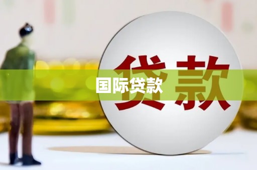 新埤国际贷款